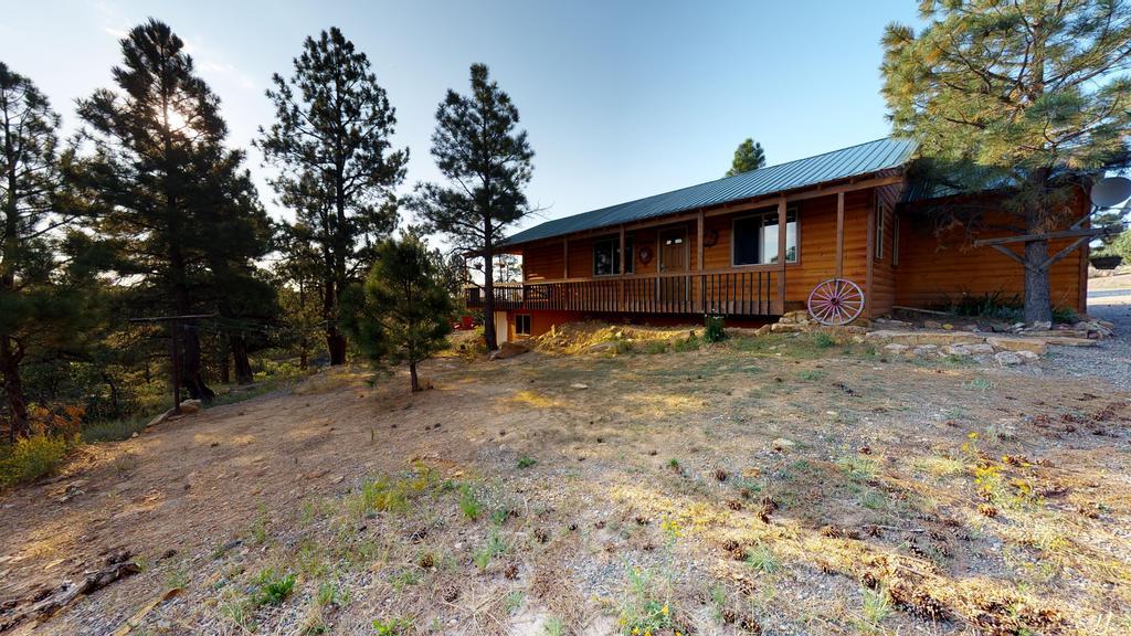 Long View Cabin, Breakfast Deck Overlooking The Canyon! Monticello Eksteriør billede